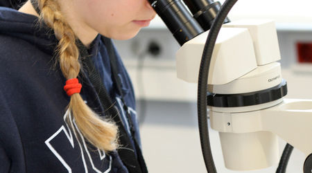 Ein Mädchen betrachtet eine Probe unter einem Mikroskop