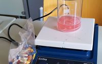 Ein Becherglas auf einem Magnetrührer für ein Experiment zum Färben von Wollfäden mit Lakritzstäben