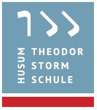 Logo der Theodor-Storm-Schule